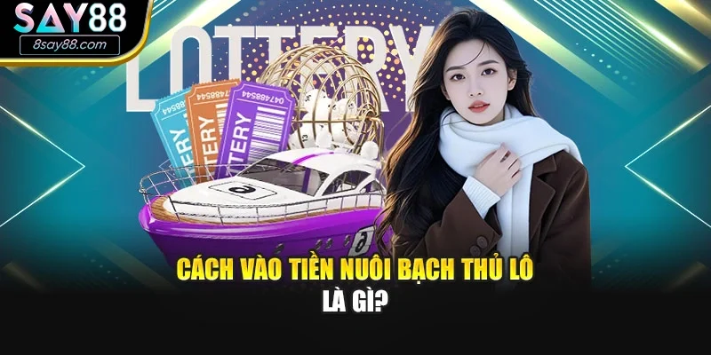 Cách vào tiền nuôi Bạch thủ lô là gì?